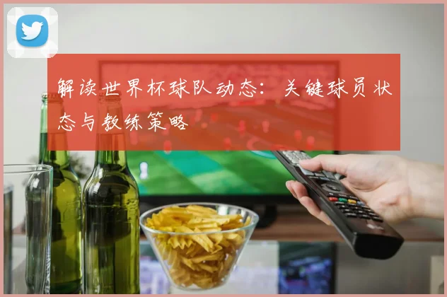解读世界杯球队动态：关键球员状态与教练策略
