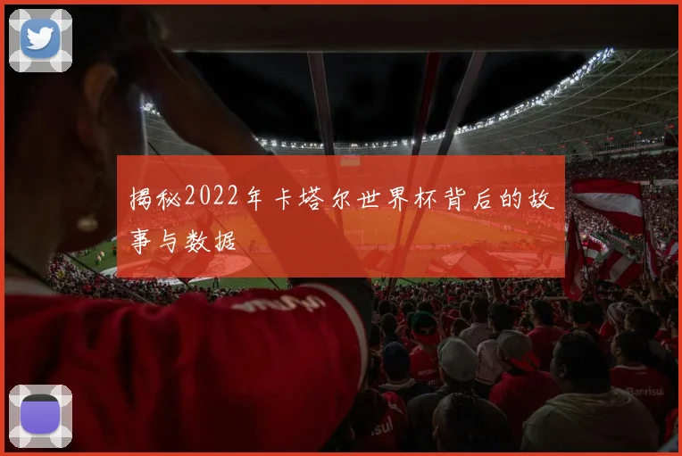 揭秘2022年卡塔尔世界杯背后的故事与数据