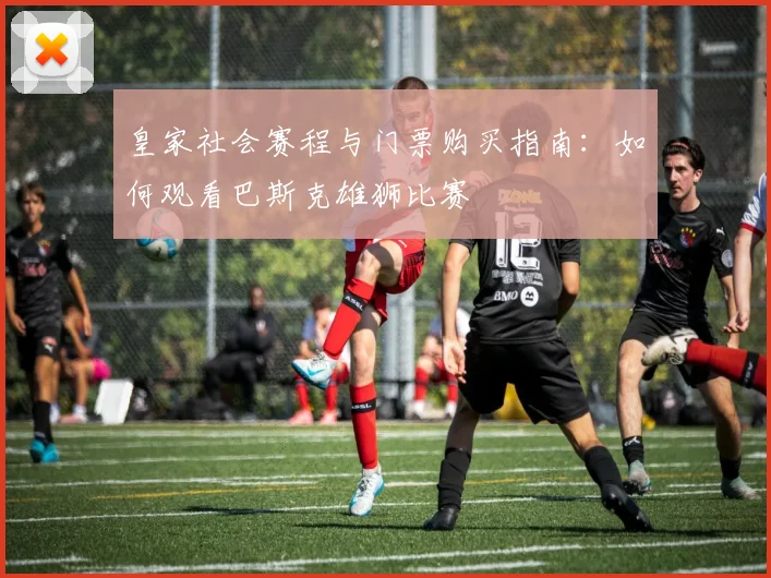 皇家社会赛程与门票购买指南：如何观看巴斯克雄狮比赛