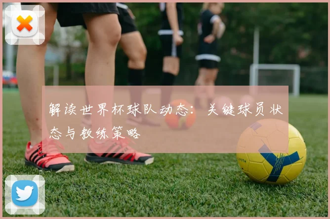 解读世界杯球队动态：关键球员状态与教练策略